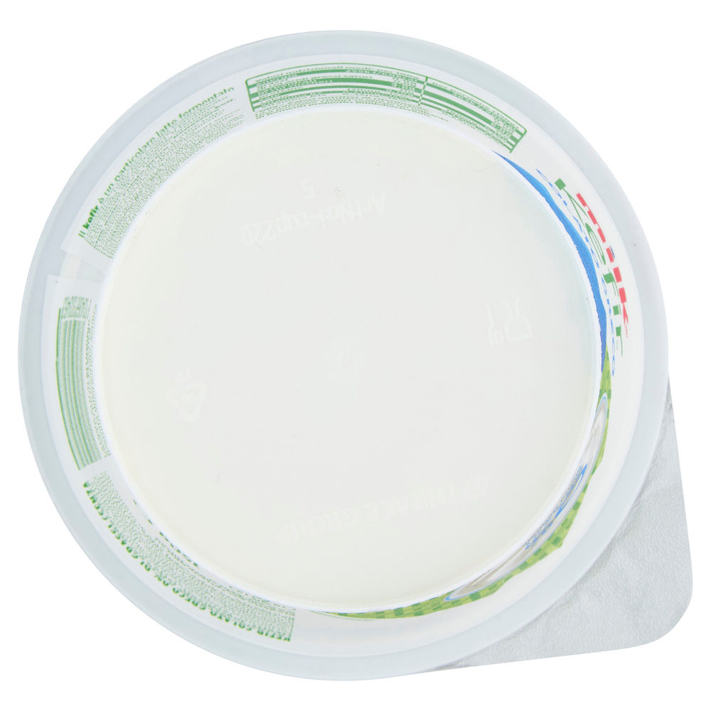 KEFIR COLATO GRECO BIANCO MILK G 150 - 4