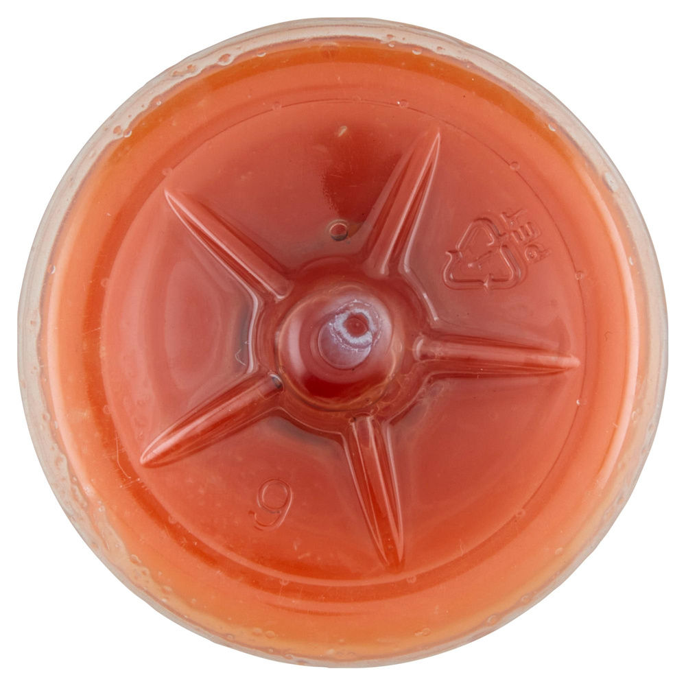 SPREMUTA ARANCIO CAROTA E ZENZERO F.LLI ORSERO BTG ML 250 - 7