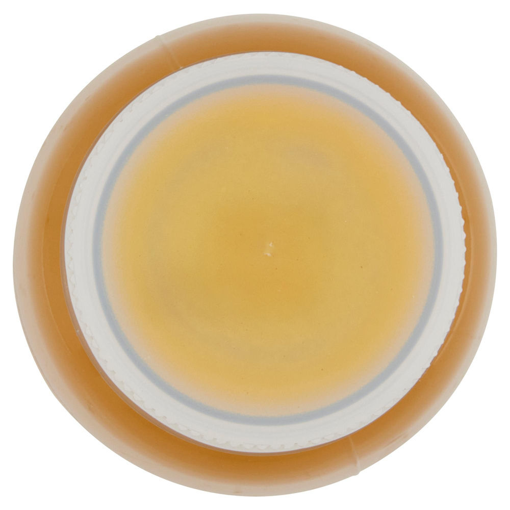 SPREMUTA MANGO E PASSION FRUIT F.LLI ORSERO BTG ML 250 - 2