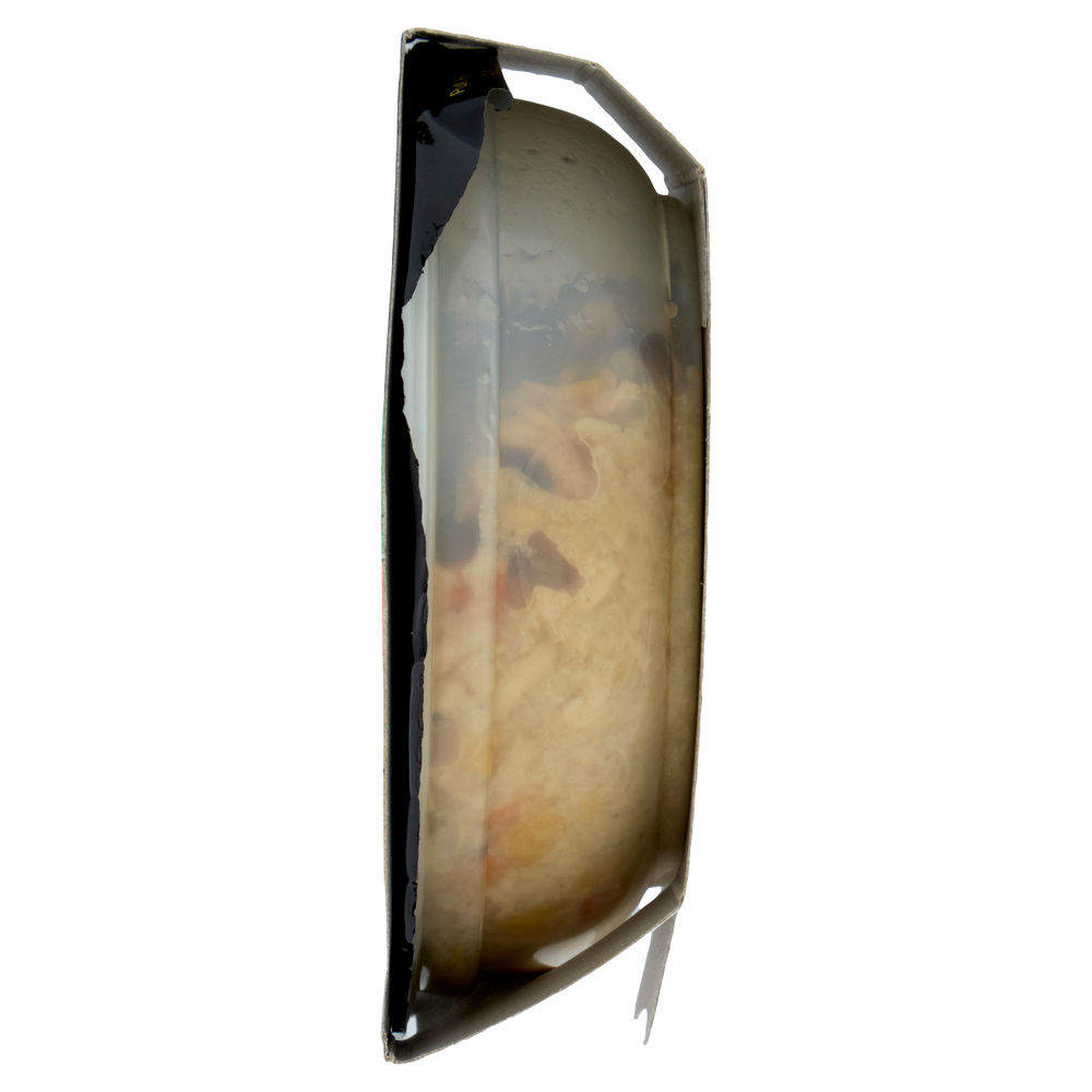 UMIDO CANE CESAR FRESH BOWLS POLLO CAROTE VASHETTA G 85 - 4