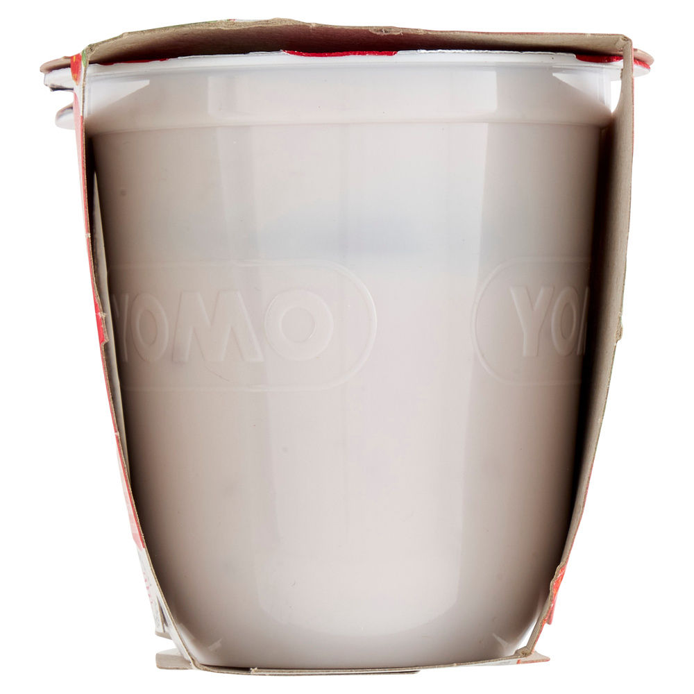 KEFIR CUCCHIAIO FRUTTI ROSSI YOMO G 115 X2 - 3