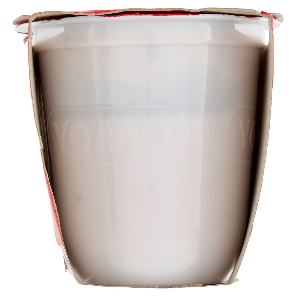 KEFIR CUCCHIAIO FRUTTI ROSSI YOMO G 115 X2 - 5