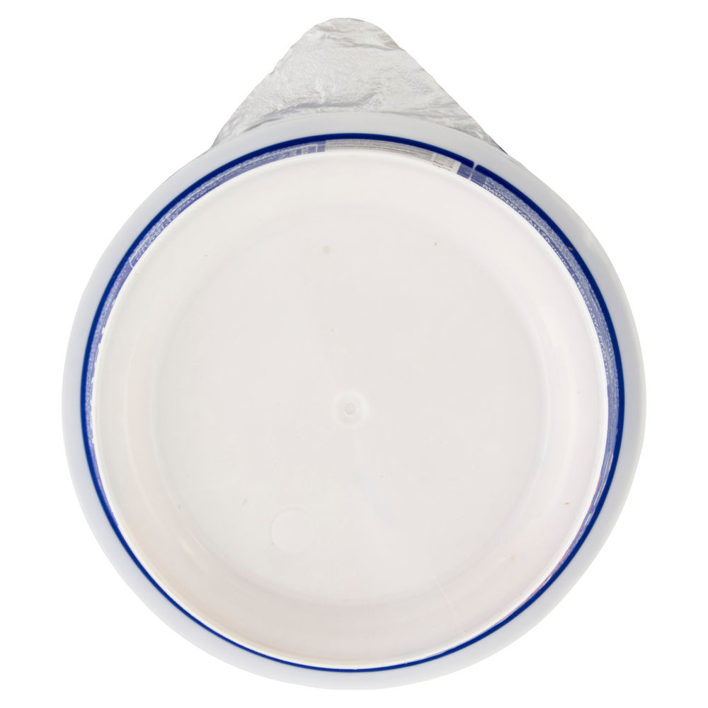 YOGURT GRECO 5% GUSTO SACHERTORTE KIONAS G 150 - 4