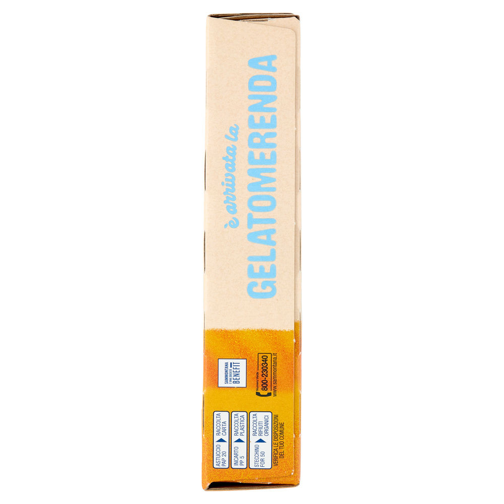 STECCO GELATOMERENDA PLASMON SAMMONTANA G 188 - 5
