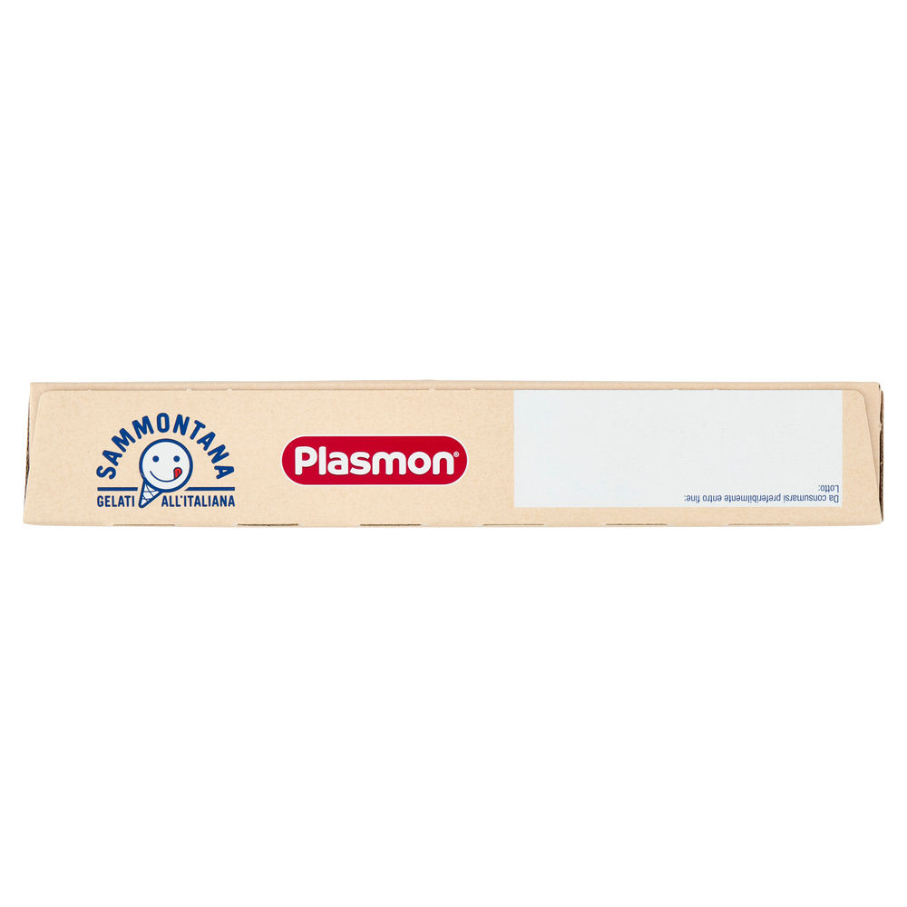 STECCO GELATOMERENDA PLASMON SAMMONTANA G 188 - 6