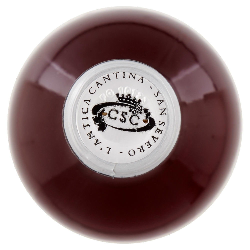 VINO ROSATO DOP PORTALE CANTINA SAN SEVERO 750 ML - 4