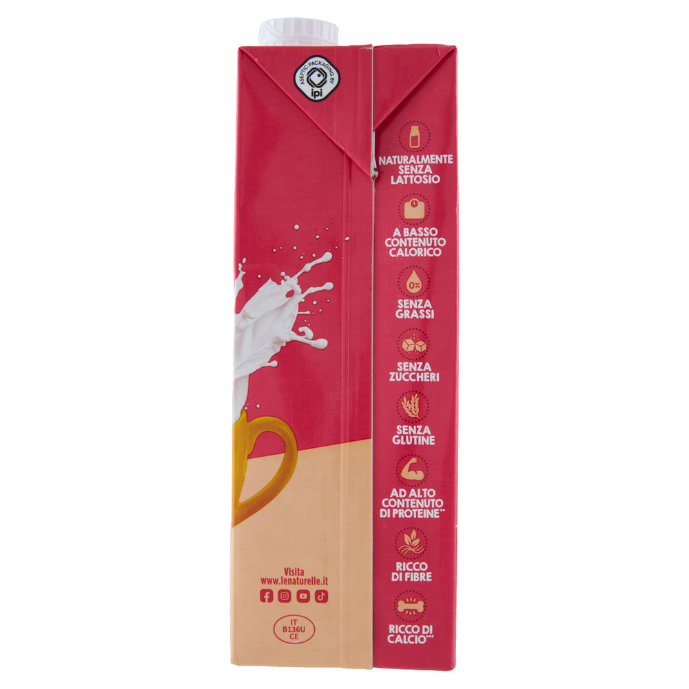 BEVANDA RICCA CALCIO E PROTEINE  NATURELLE   BRIICK L 1 - 5