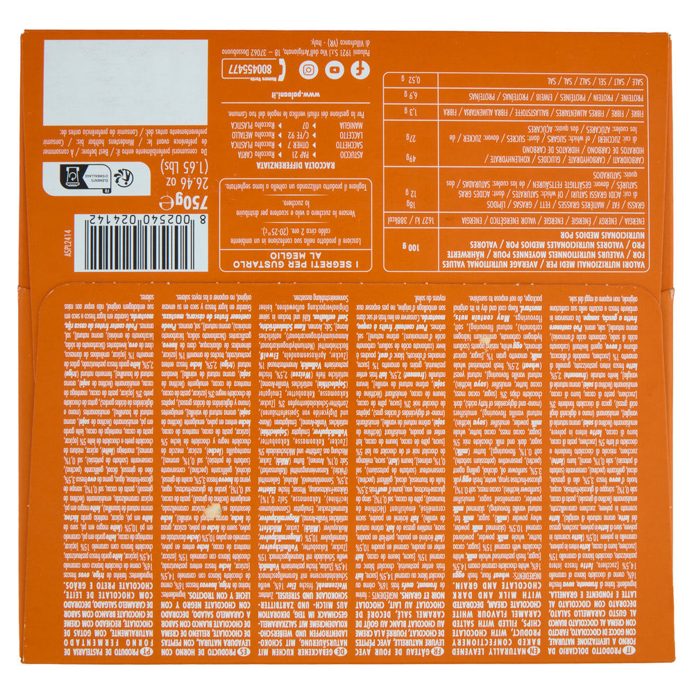 PANDORO CREMA CARAMELLO SALATO & GOCCE CIOCCOLATO PALUANI G750 - 4