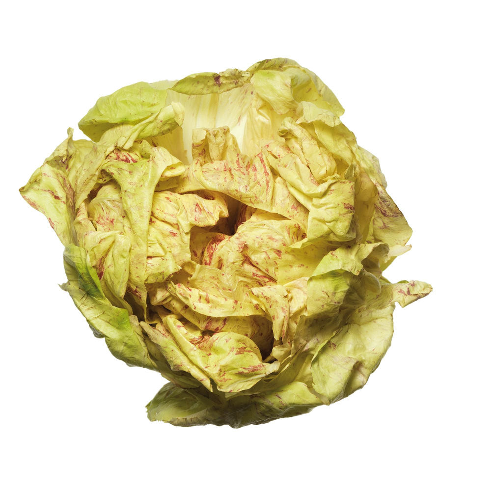 RADICCHIO VARIEGATO DI CASTELFRANCO IGP FIOR FIORE COOP IT I^ SH G 300 - 0
