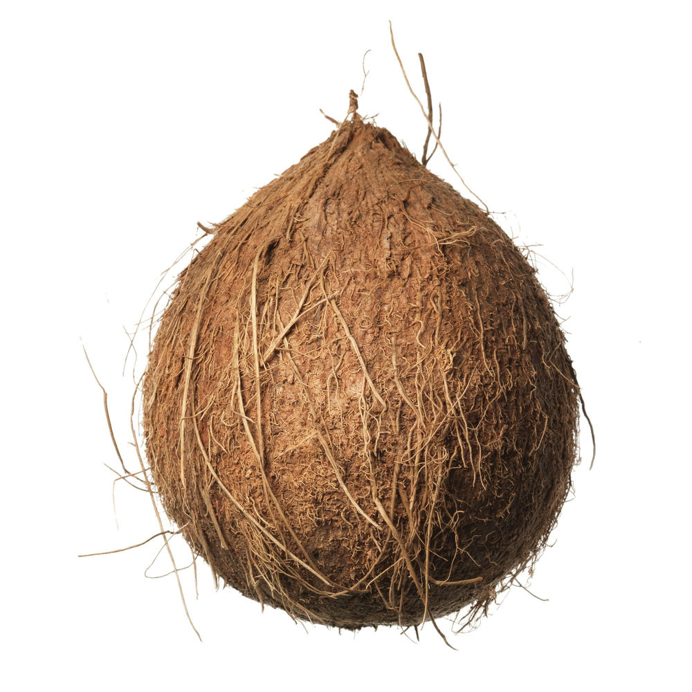 NOCI DI COCCO ES I^ SF - 0