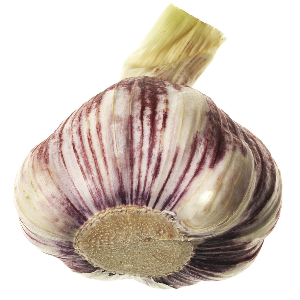 AGLIO SECCO ROSSO ES 50-70 I^ RT G 200 - 0