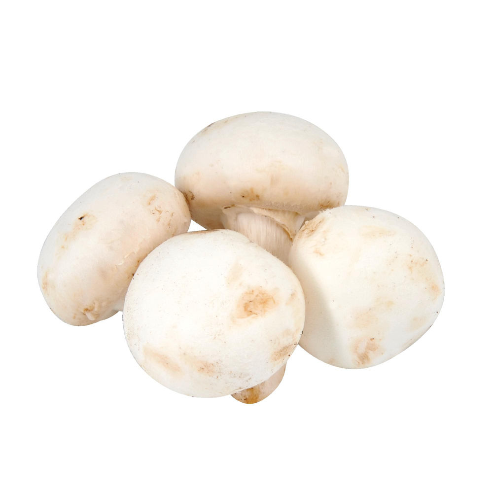 FUNGHI CHAMPIGNON GRANDE IT SF - 0