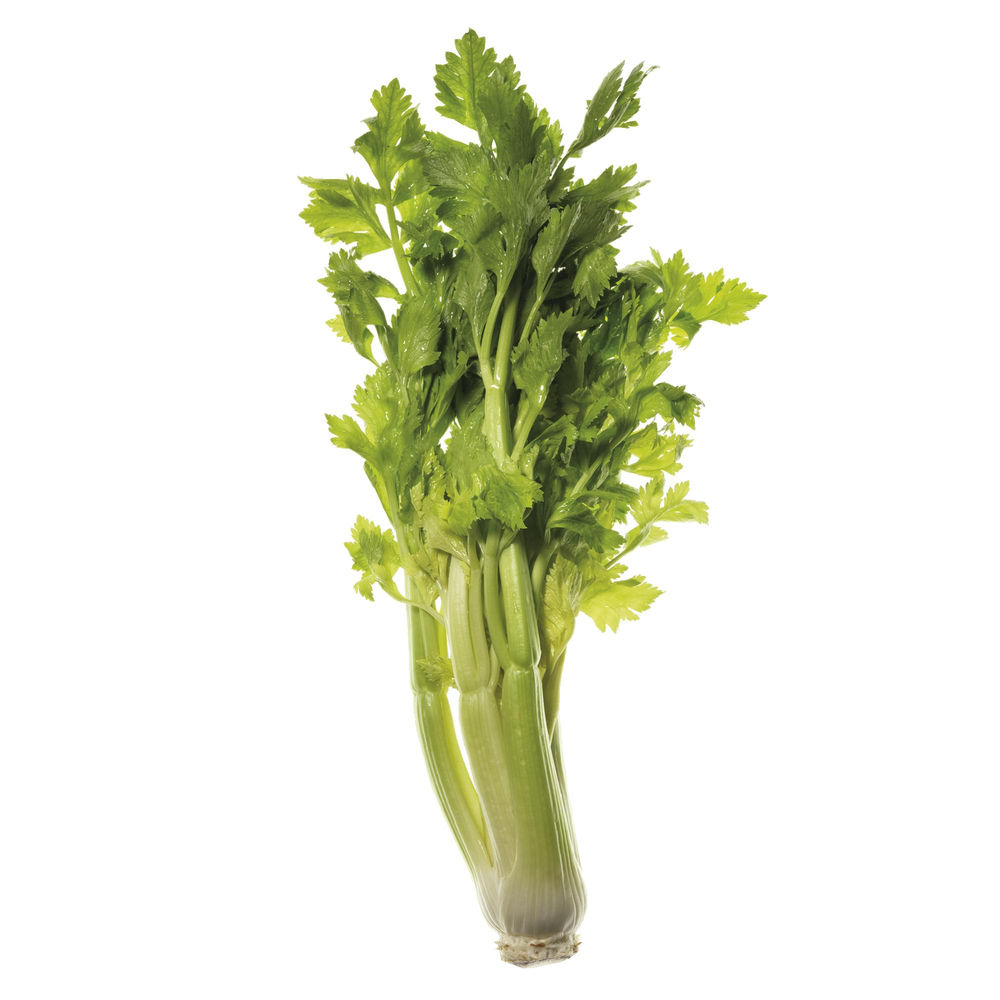 SEDANO VERDE IT I^ SF - 0