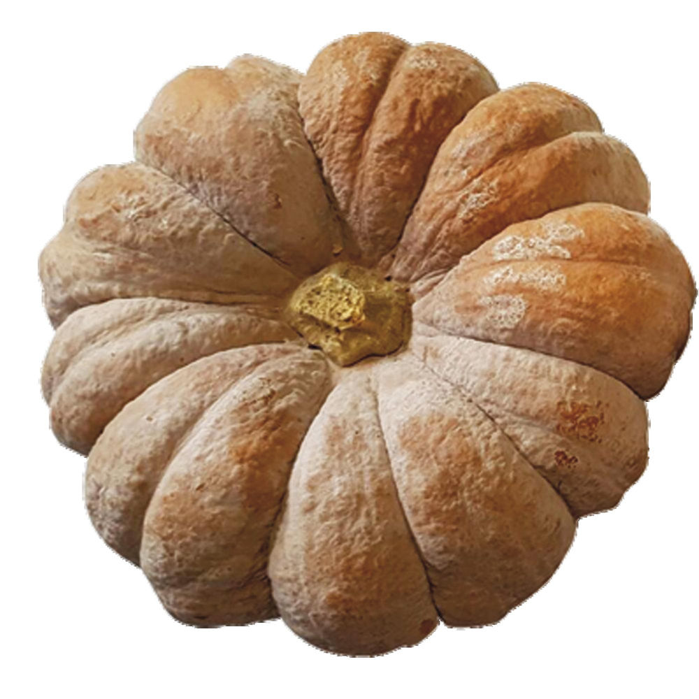 ZUCCA TONDA GIALLA IT I^ SF - 0