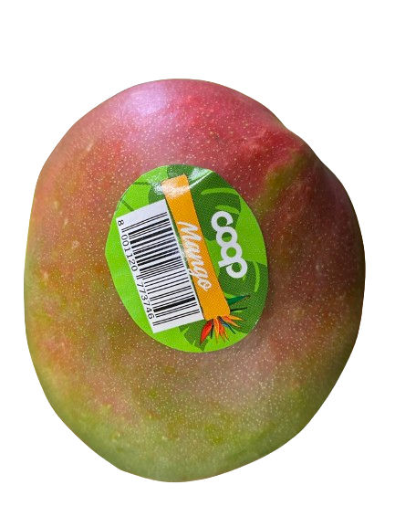 MANGO VM COOP ES I^ BOLLINATO G 380 - 0