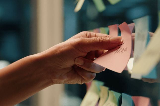 Texto y media alt text