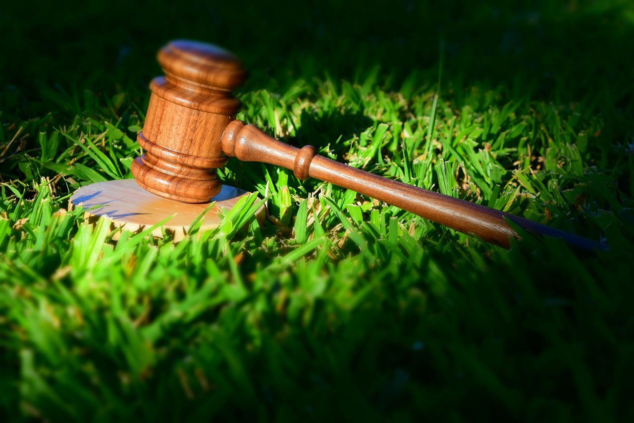 Texto y media alt text