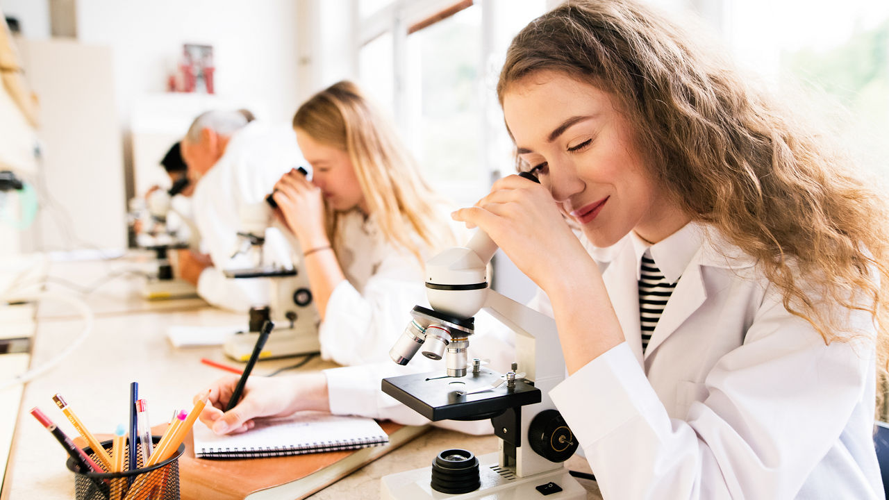 Texto y media alt text