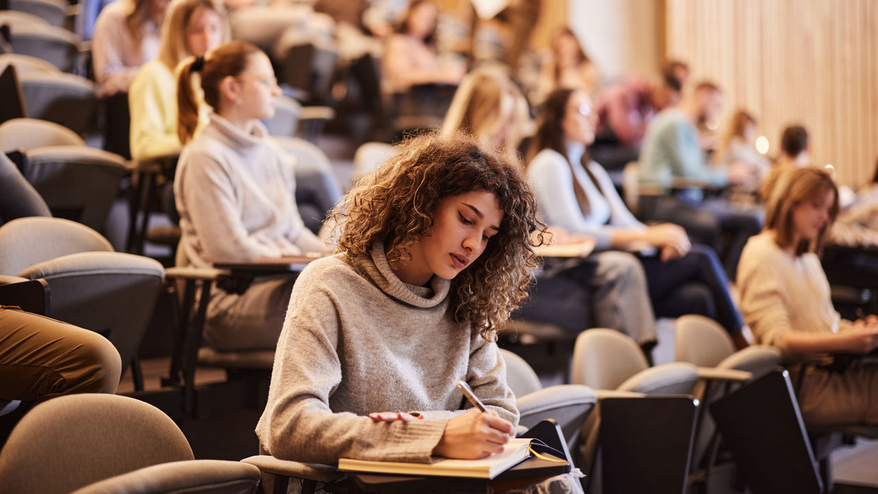 Texto y media alt text