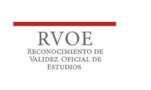 Imagen de la sección