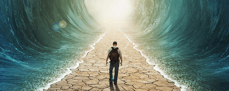 Imagen hero