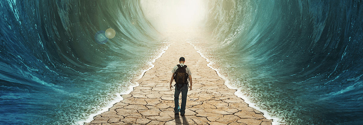 Imagen hero
