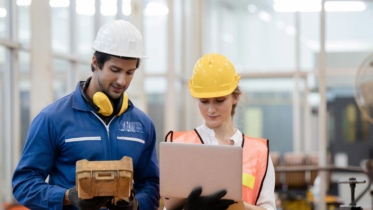 Texto y media alt text