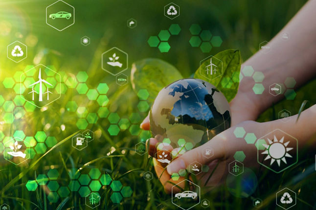 Texto y media alt text