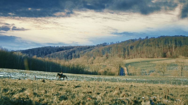 Landscape photograph in which Janina Sandvoß rides on her horse though nature