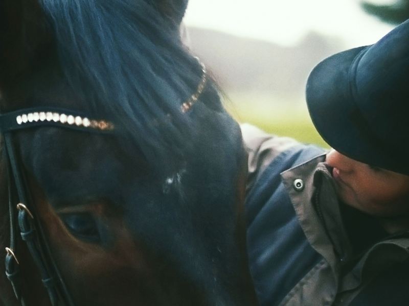 Portrait of rider Janina Sandvoß and her horse looking at each other