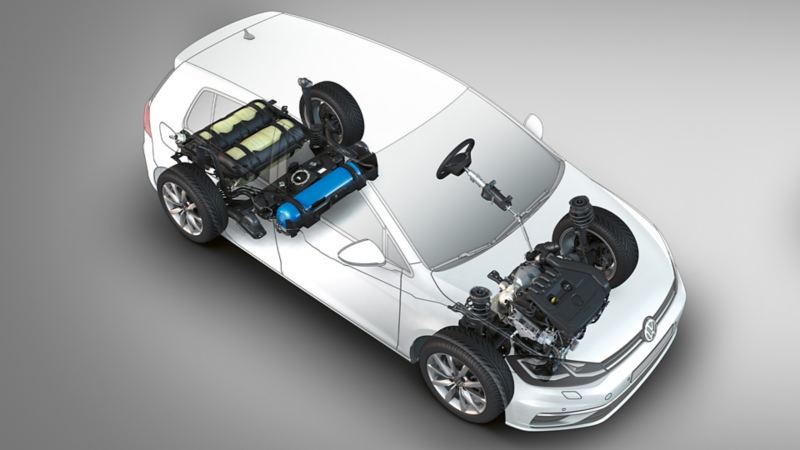 Rappresentazione grafica del motore TGI di Volkswagen Golf.