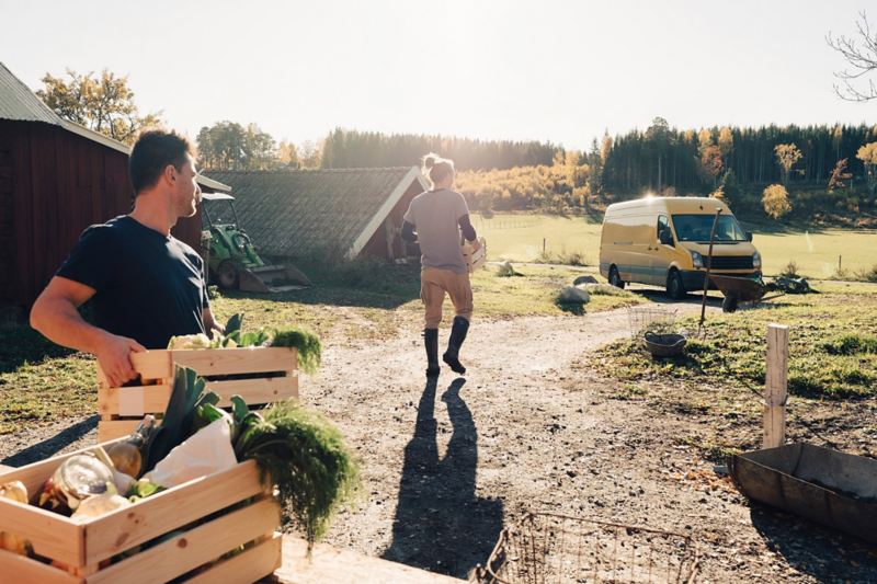 Mænd på landet pakker kasser med grøntsager i en varebil.