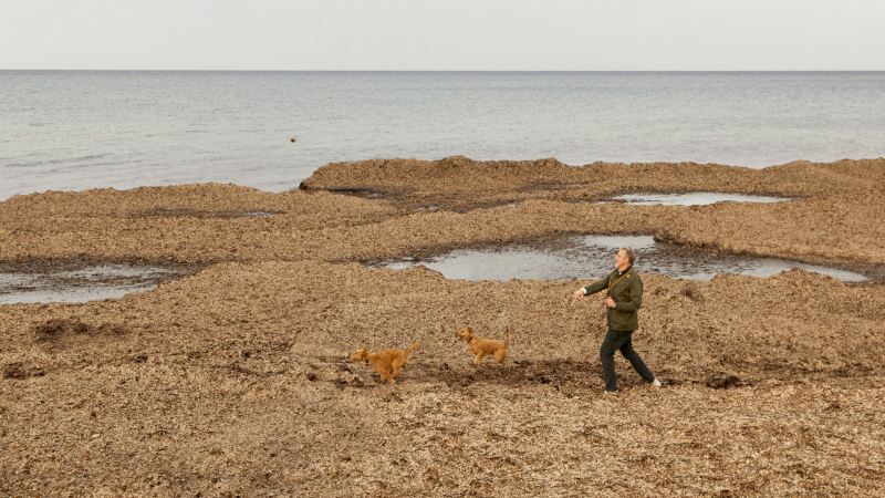 Thomas Niederste-Werbeck au bord de la mer avec ces chiens