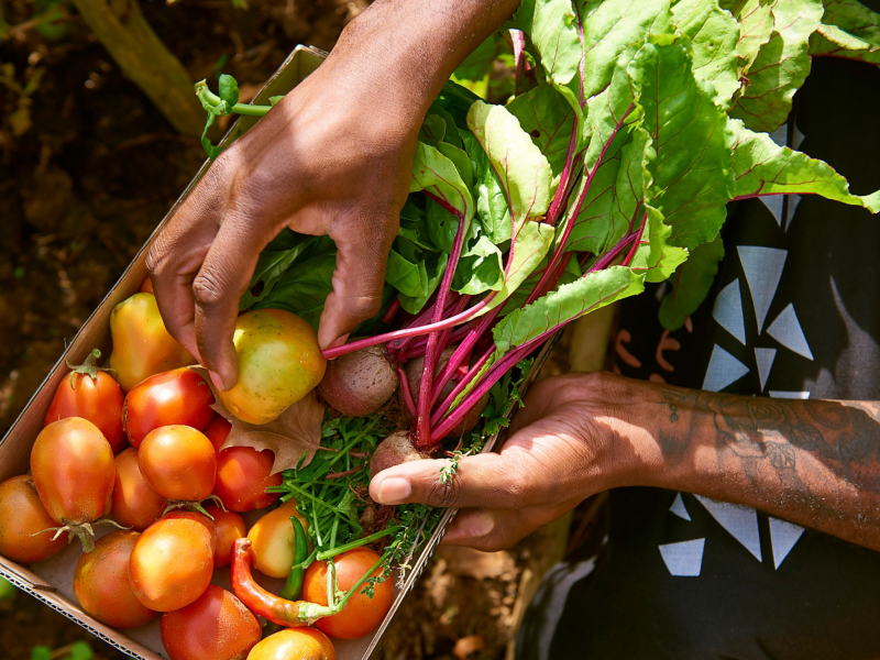 Fresh produce is key