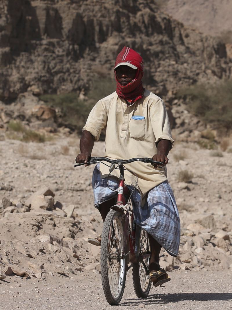 Amarok på väg bakom cykel i öknen