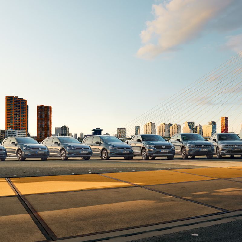 Mehrere VW-Autos stehen nebeneinander auf einer Brücke. Im Hintergrund das Panorama einer Stadt mit Hochhäusern und blauer Himmel.