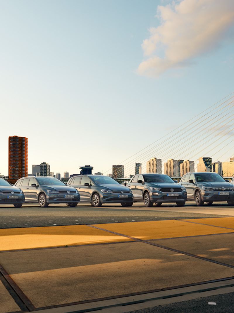 Mehrere VW-Autos stehen nebeneinander auf einer Brücke. Im Hintergrund das Panorama einer Stadt mit Hochhäusern und blauer Himmel.