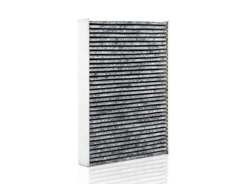 Image of a Genuine Cabin Filter