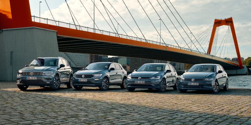 volkswagen grandes flotas