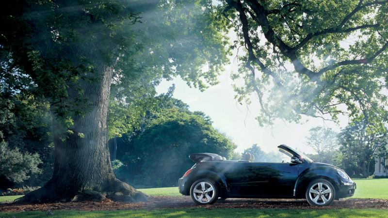 A black Volkswagen Beetle Cabriolet, under a tree, the roof down.