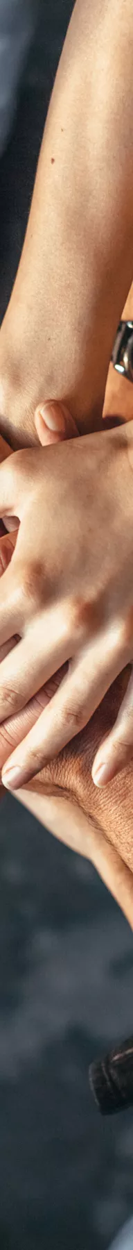 Genossenschaftliche FinanzGruppe