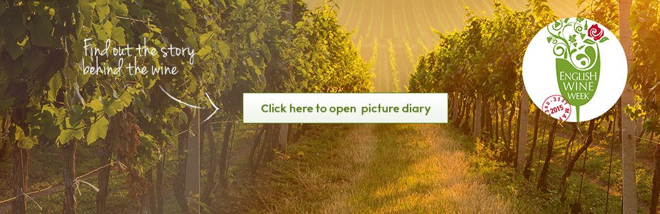 English wine picture diary