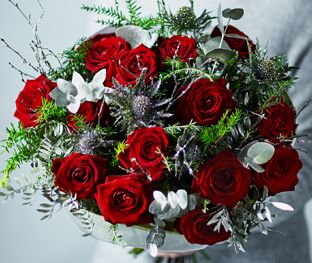 Christmas Flowers & Plants - Waitrose Florist