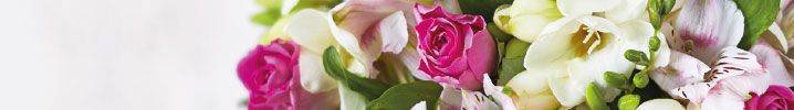 Shop Mother's Day flowers and plants
