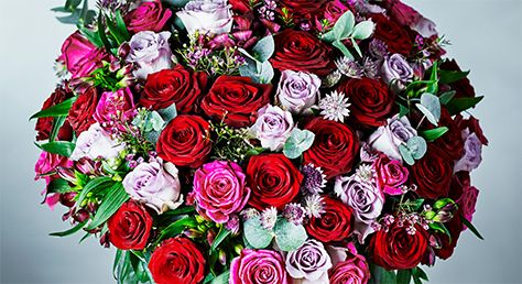 Valentine's Day red roses and flowers - Waitrose Florist