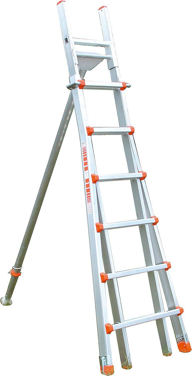 81 000 67