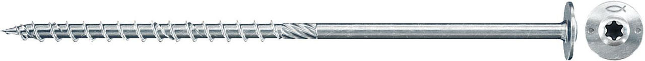 94 095 56