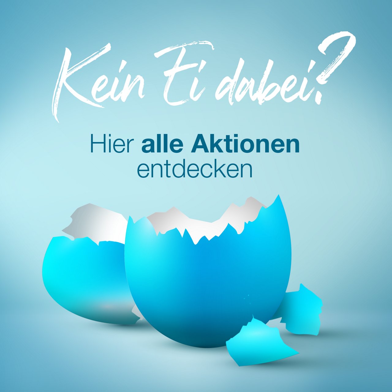 Weitere Aktionen & Angebote