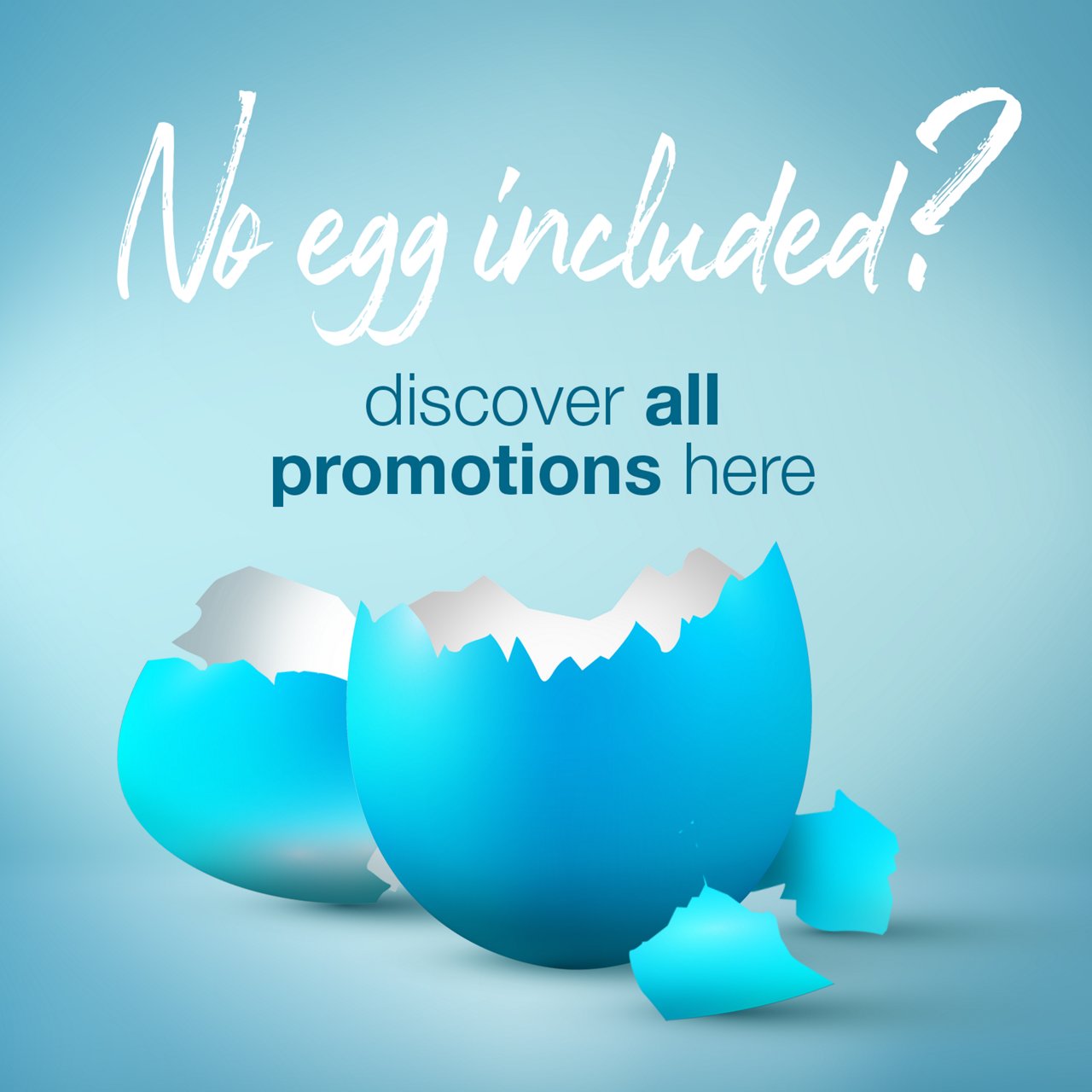 More Promotions & Offers