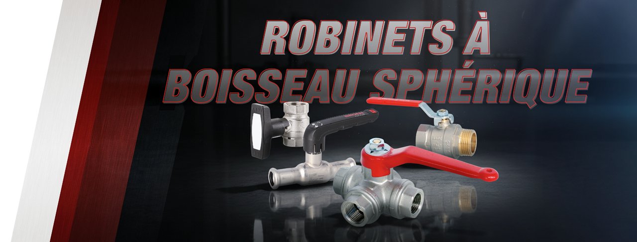 Action mensuelle Robinets à boisseau sphérique 02-2026